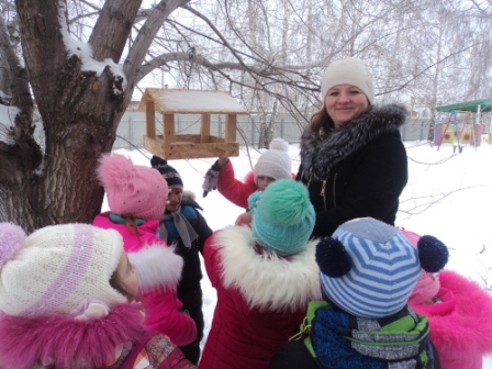 кормим птиц